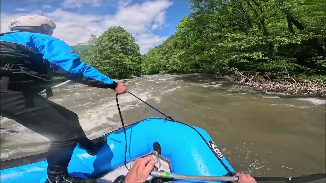 Vrbas 1
