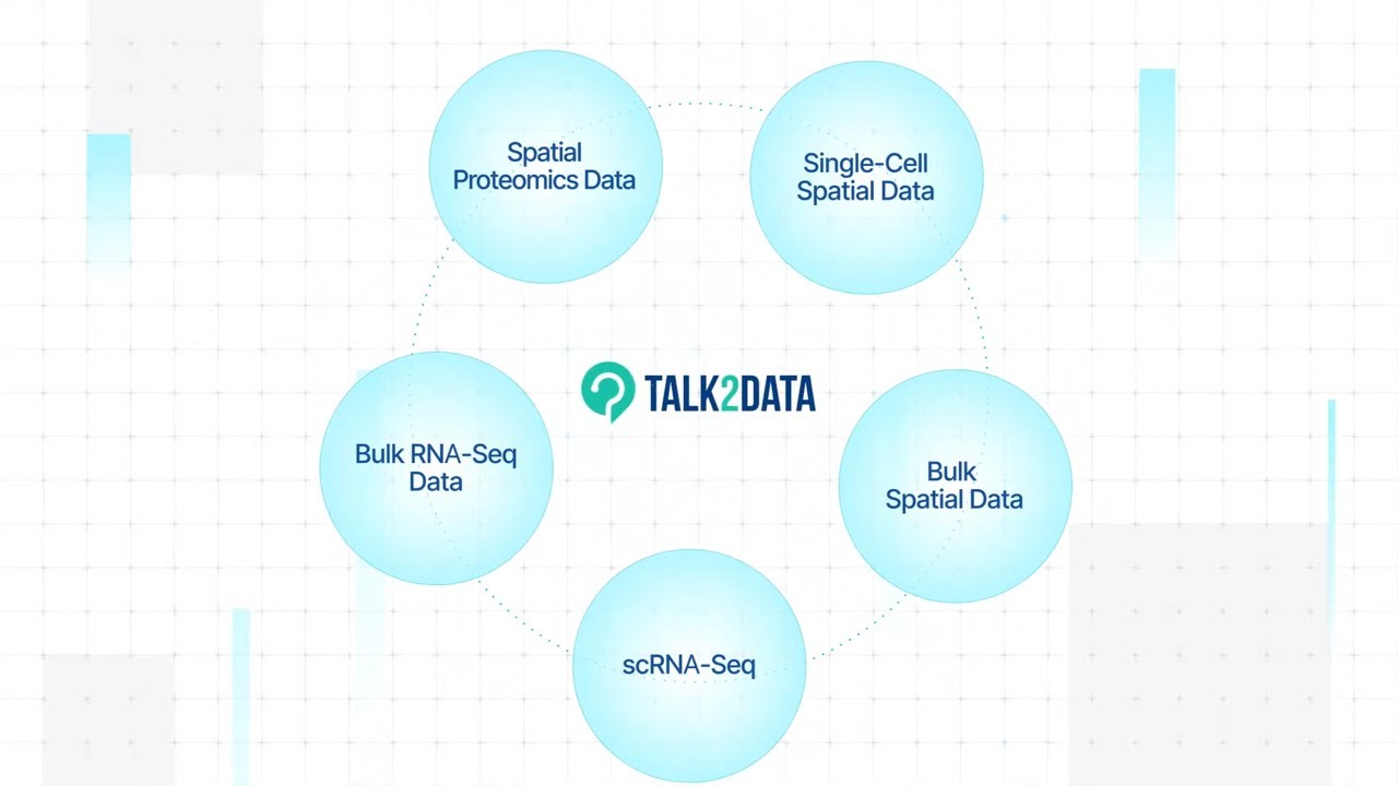 Talk2Data Next Version