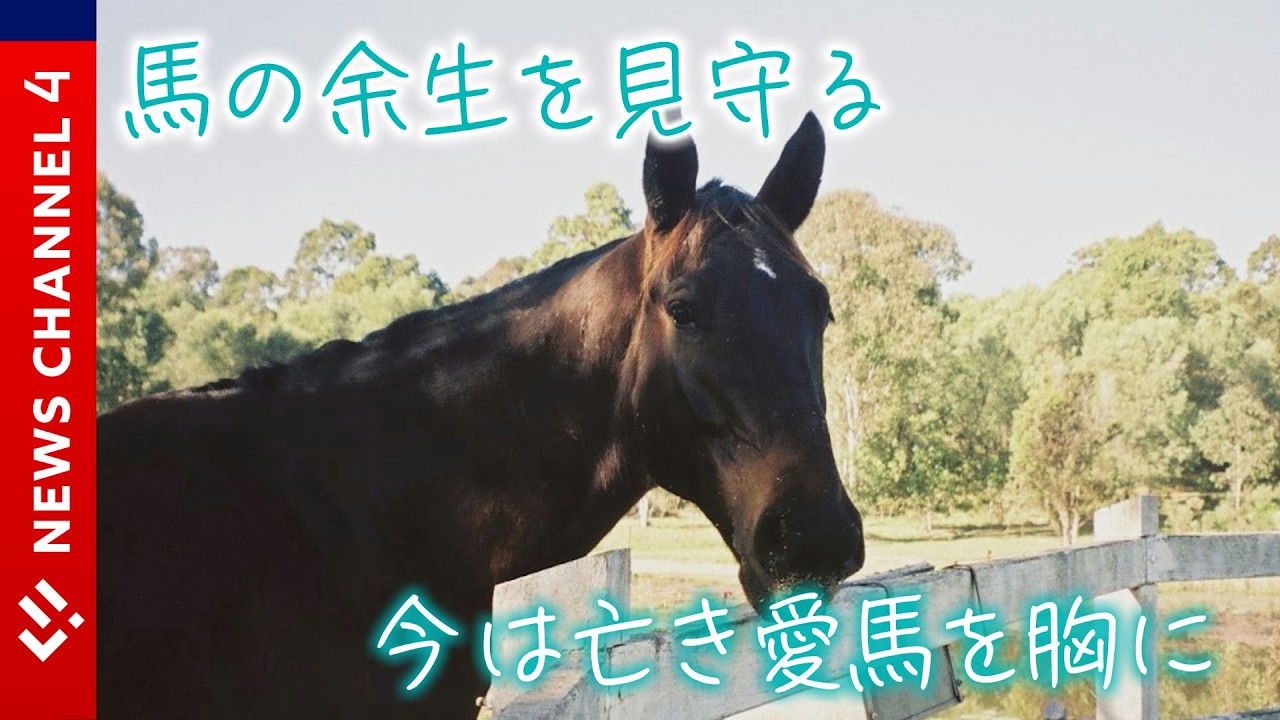 ”命”に向き合う　養老牧場を営む女性＜NEWS CH.4＞