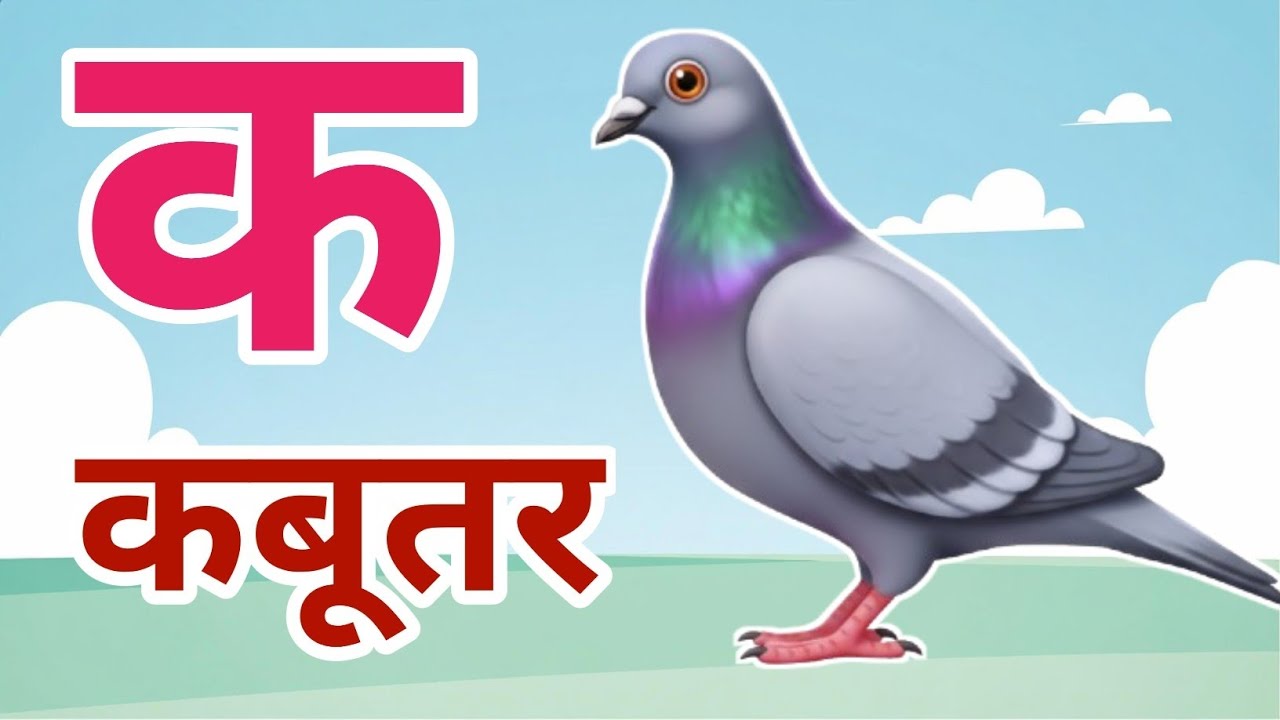 k se kabutar | ka se kabutar | क से कबूतर | कखगघ