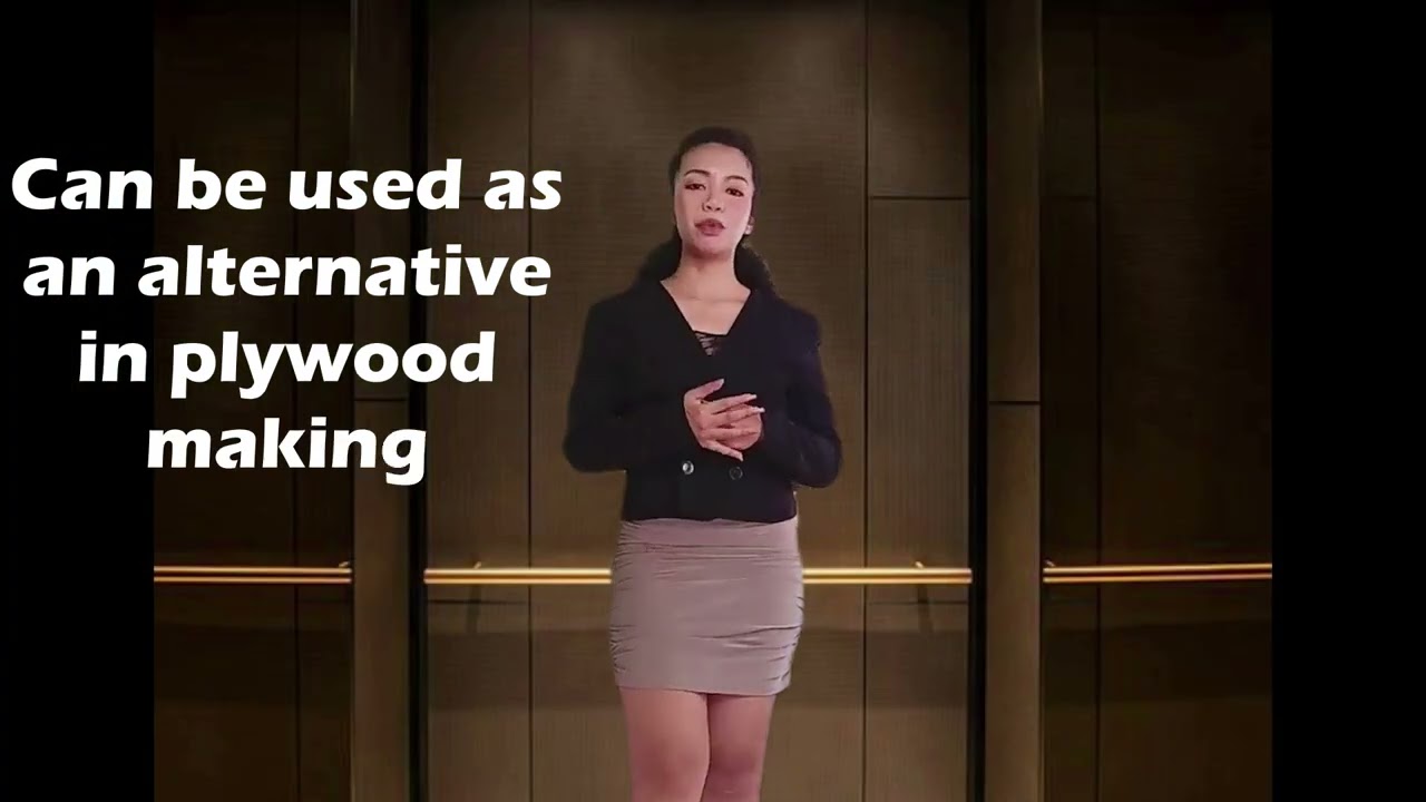 Alternative Materials for Plywood Making (oMegass Wood Corp)