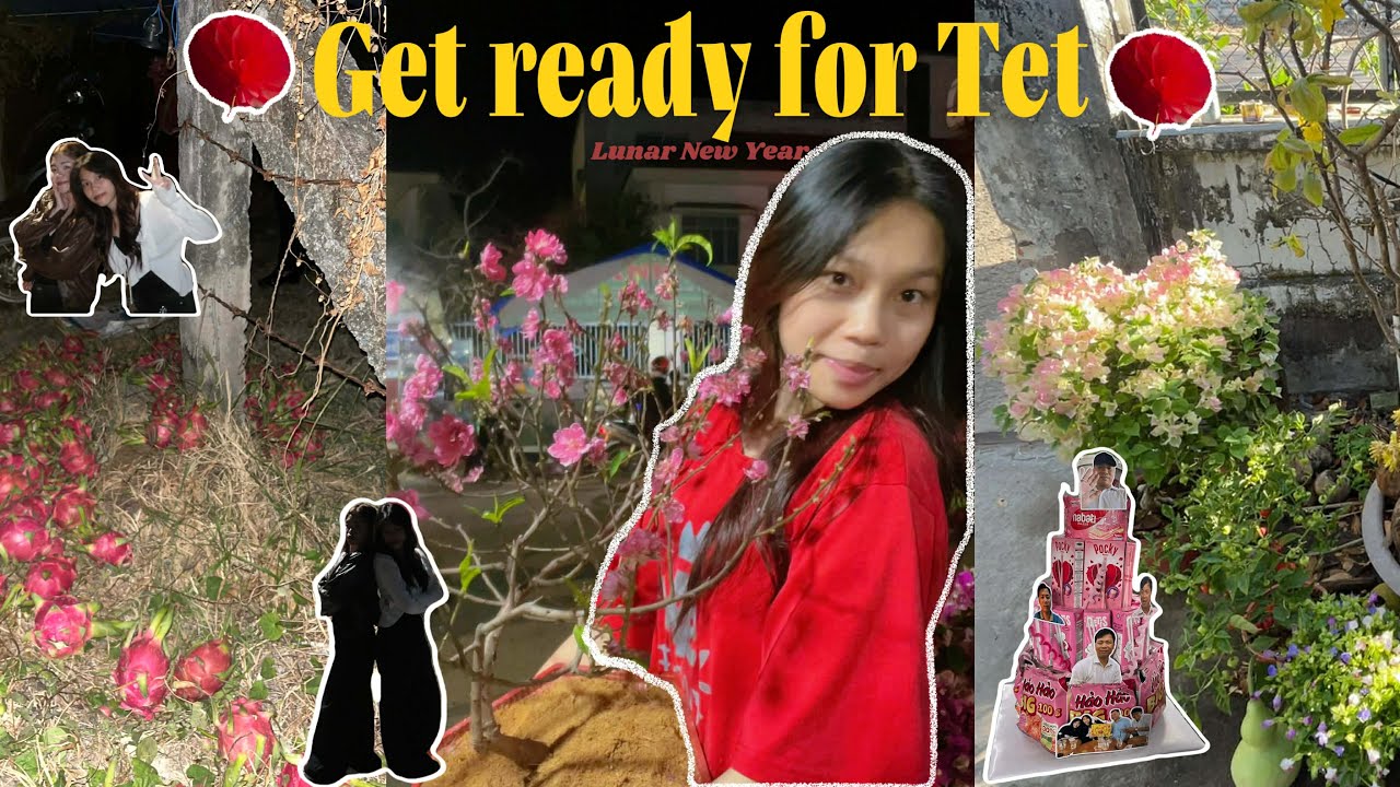 Get ready for Tet ~ Đếm ngược đến giao thừa