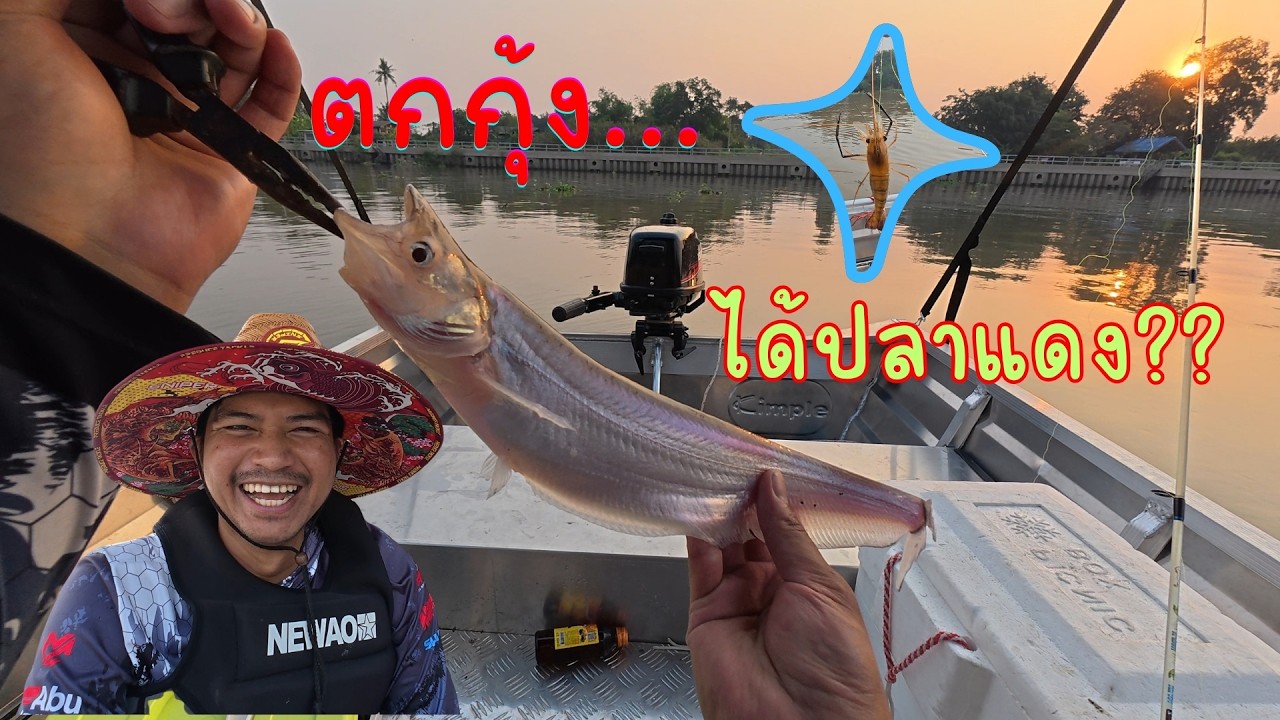EP.3 ตกกุ้งมันต้องใช้เทคนิค ตกต่อไปเดี๋ยวไม้ไผ่ก็เป็นกระบี่