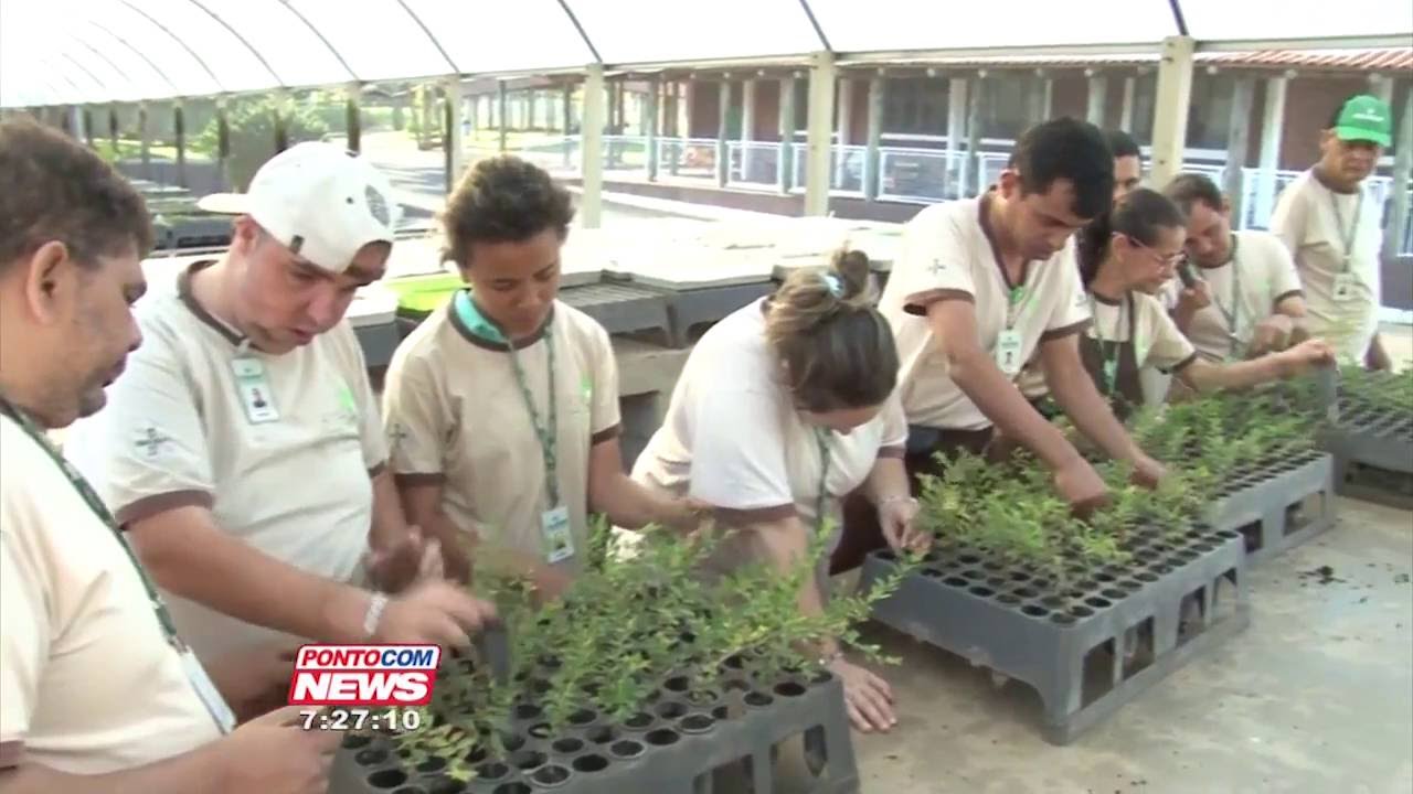 Projeto Cultivar busca a inclusão de portadores de deficiência no mercado de trabalho
