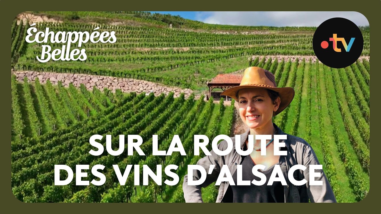 Alsace : Dambach-la-Ville, cité médiévale où on cultive le vin depuis 1500 ans - Échappées belles