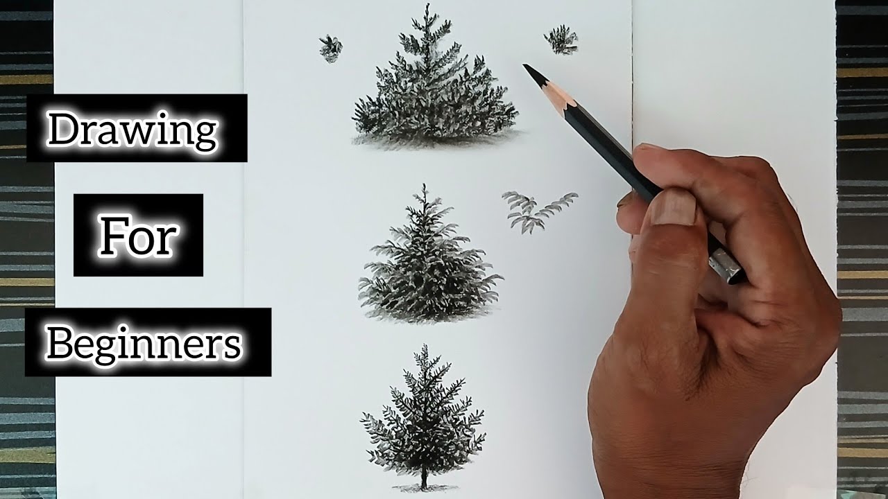 Illustration of three equally angled different shrubs/ bushes for the landscape.