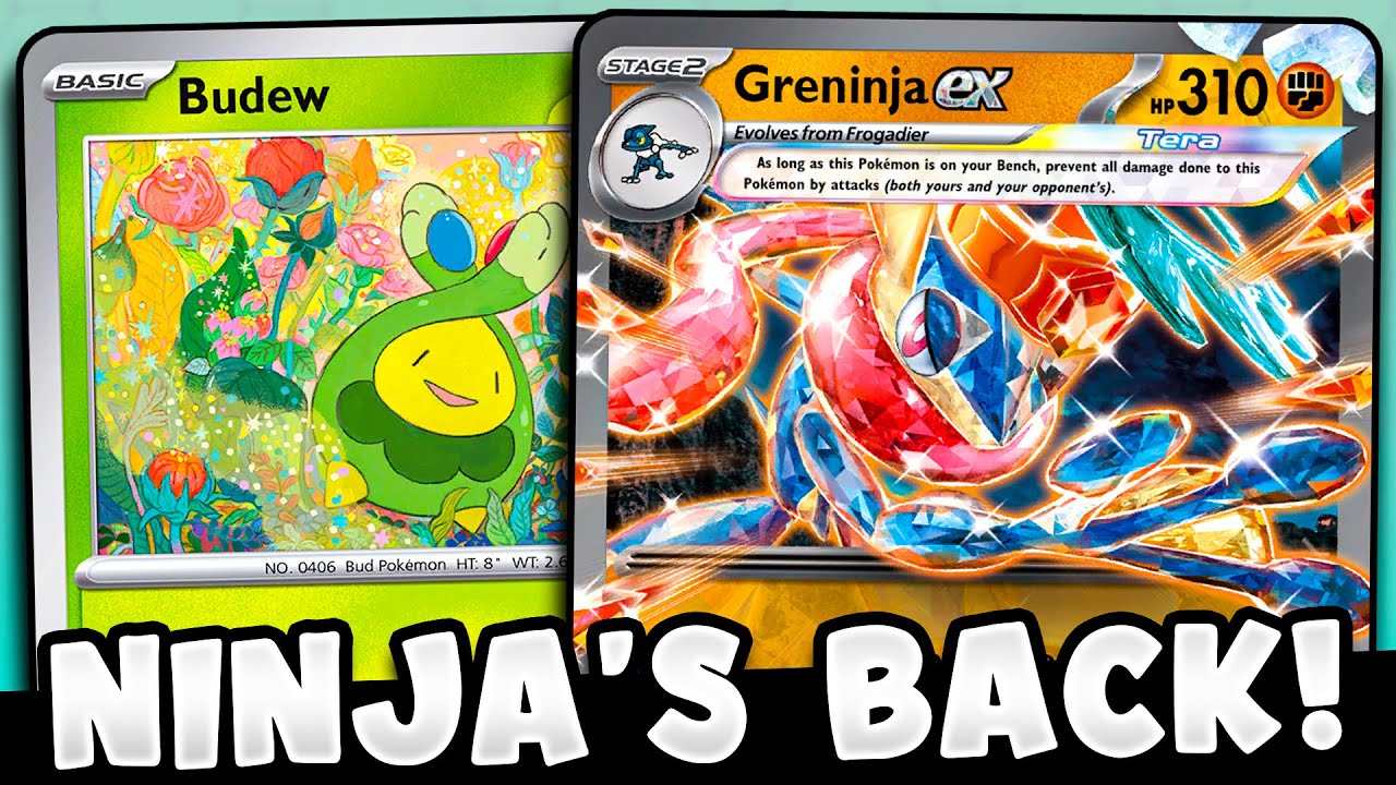 Greninja Froslass Got TOP 8 with Budew!