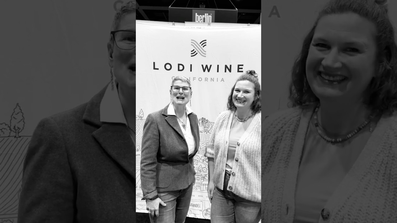 Встретиться с виноделом без предварительной записи? 🍷