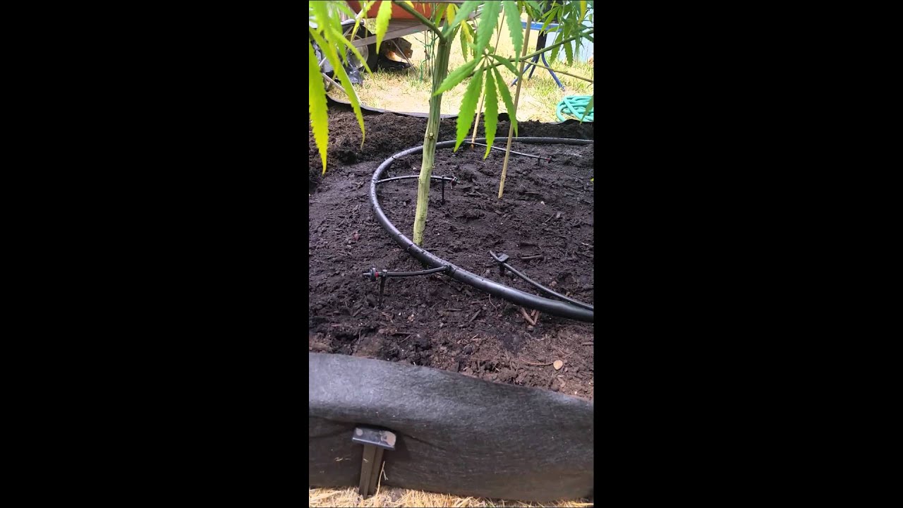 Ommp outdoor growing new water system