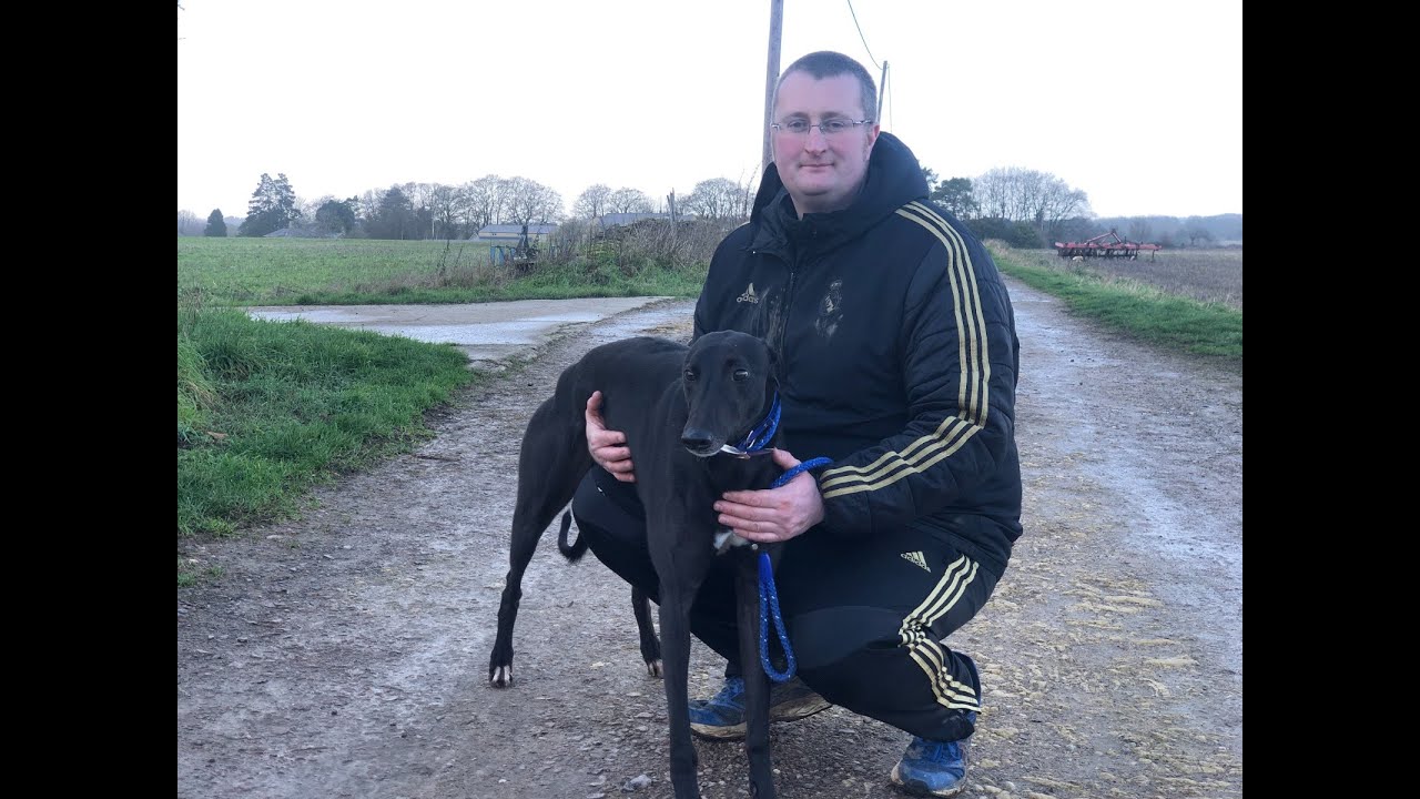 #GreyhoundDerby2022 Kennel Visit: Kevin Hutton