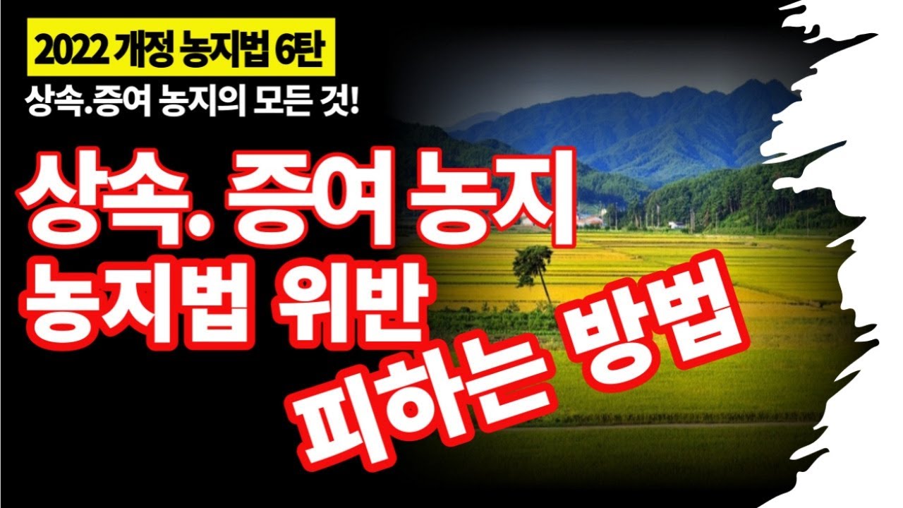 ★상속.증여농지의 농지법 위반 피하는 방법과 양도소득세 해설/ 상속농지와 증여농지의 차이점....?