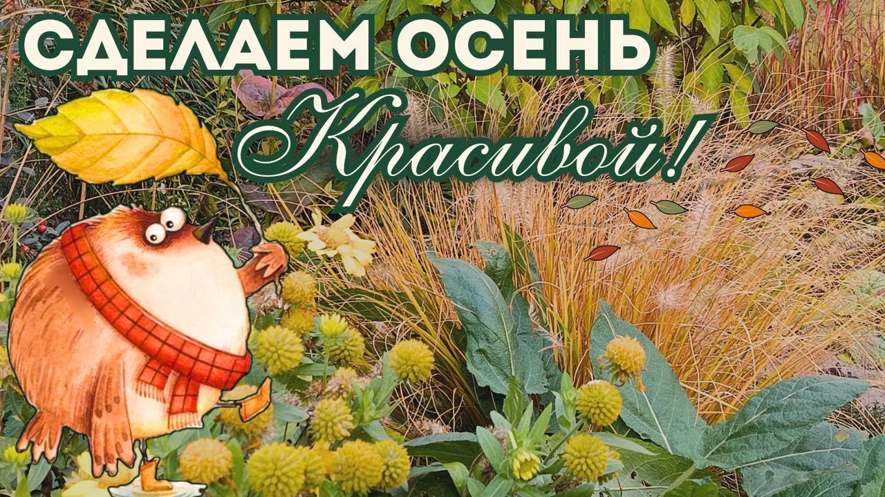 Что посадить для красивой осени? Разнообразие растений для сада.  Обзор сада. Обзор моих сортов.