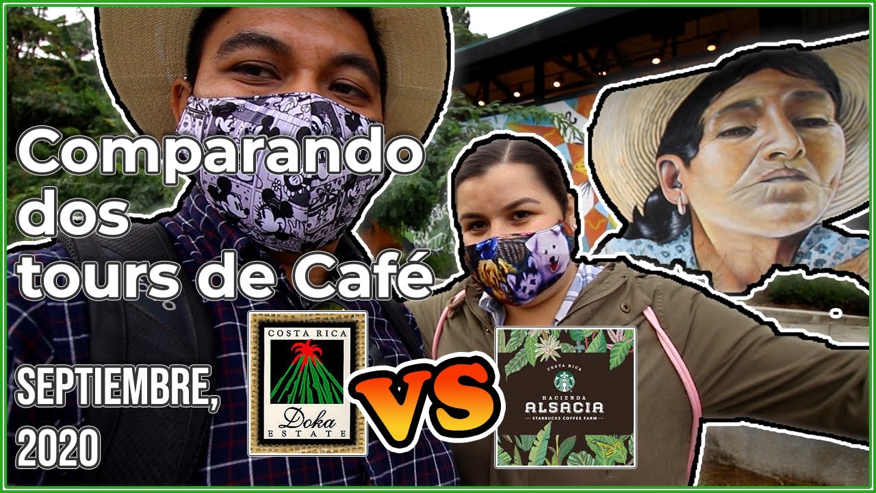 Hicimos Dos Tours Del Café || Tour de café de Hacienda Alsacia Vs Doka Estate Coffee Tour