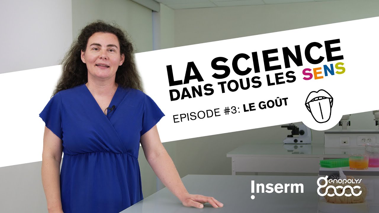 La Science dans tous les sens : le goût