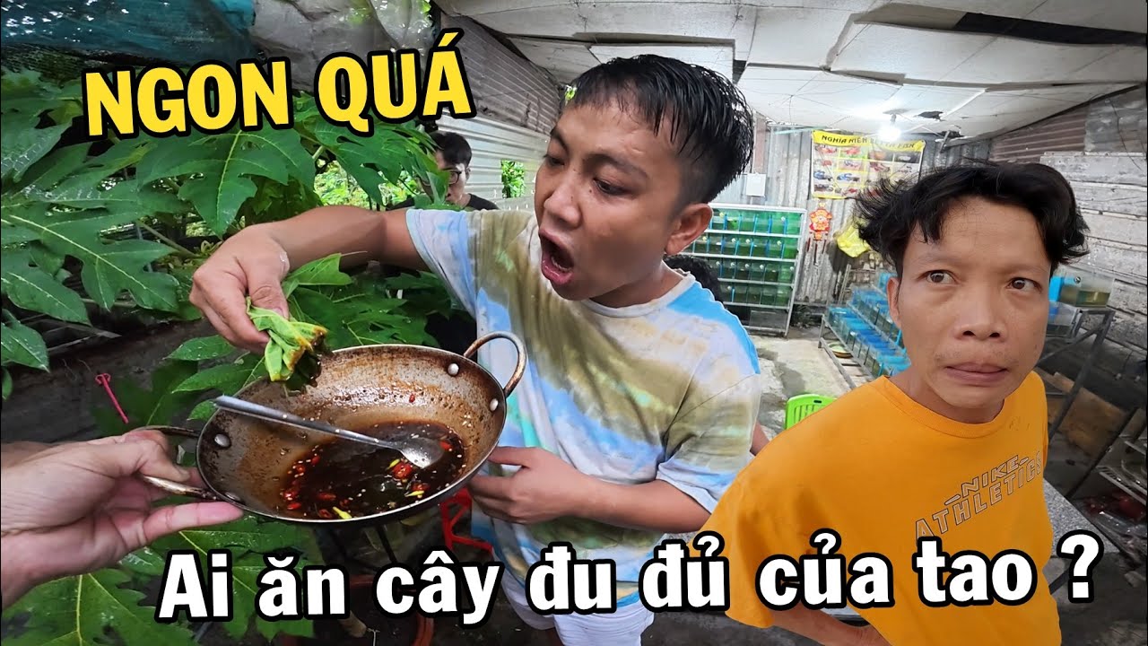 Trở về tuổi thơ tắm mưa, ăn hết lá cây Đu Đủ của Anh Nhí Betta