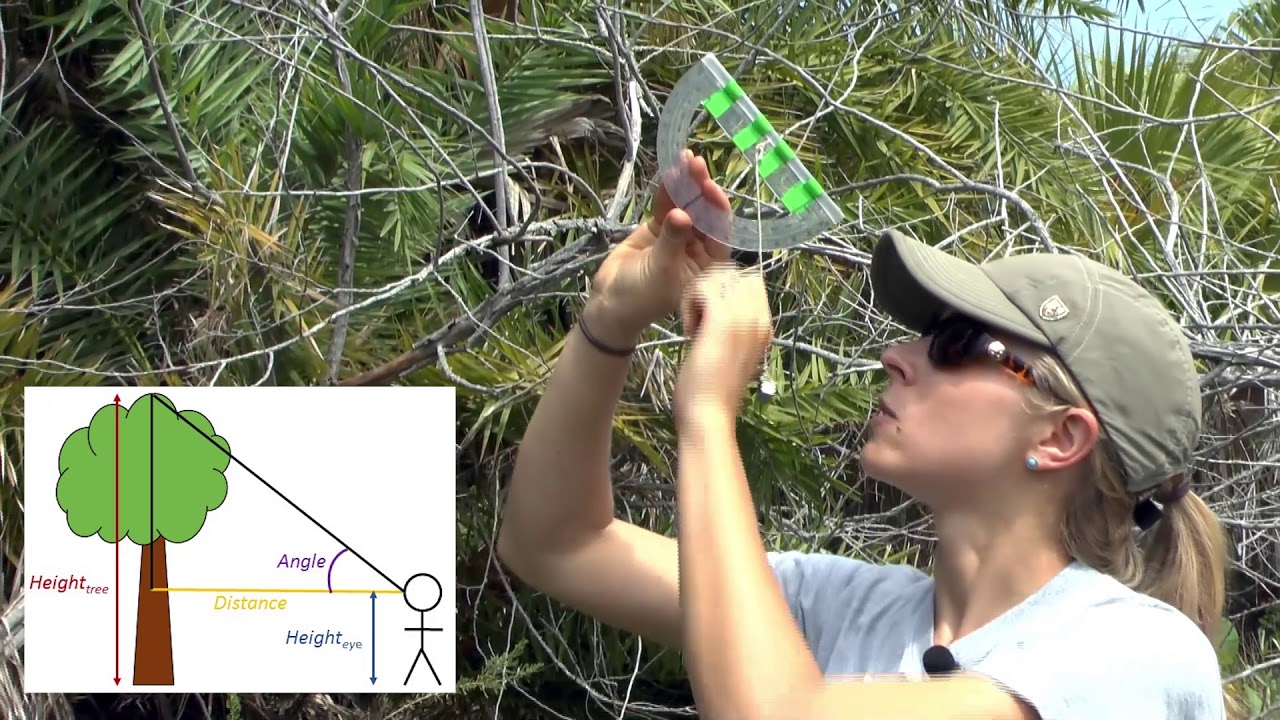 Critical Coastal Habitat Assessment Training Video