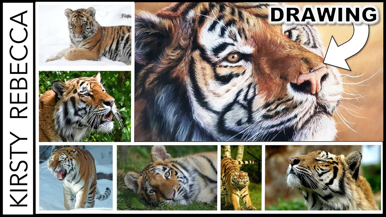 Choosing the PERFECT Reference Photo For Artwork // What Makes a Good Reference Photo?
