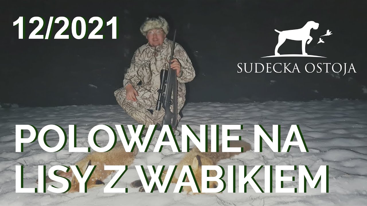 Sudecka Ostoja 12/2021. Polowanie na lisy z wabikiem. Temat, stażystów, kandydatów i rezydentów.