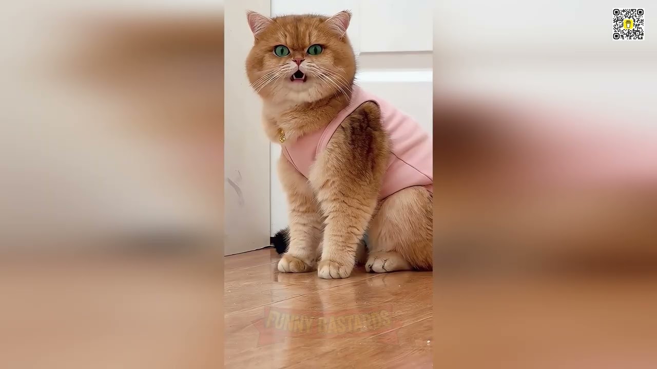 🖕🐕 THE COMEDY RECKONING: 2026’s Most Wanted CATS AND DOGS! 🐈🚨