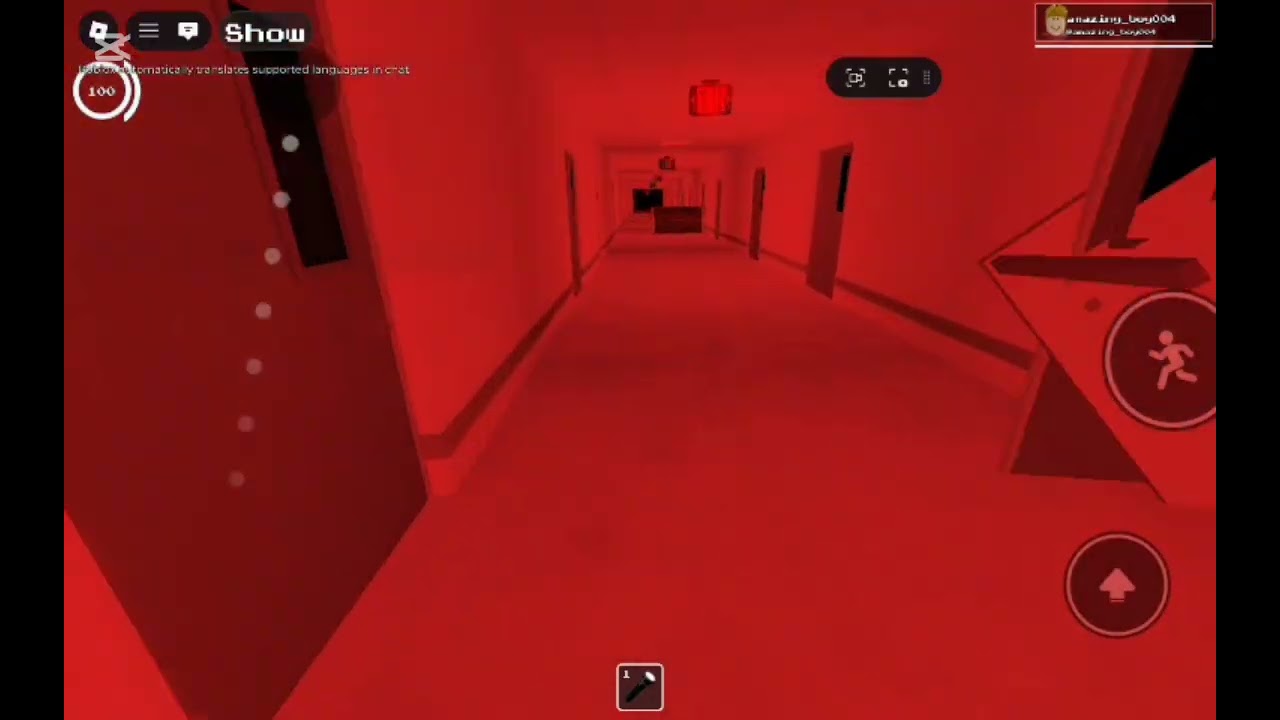 Backrooms level run