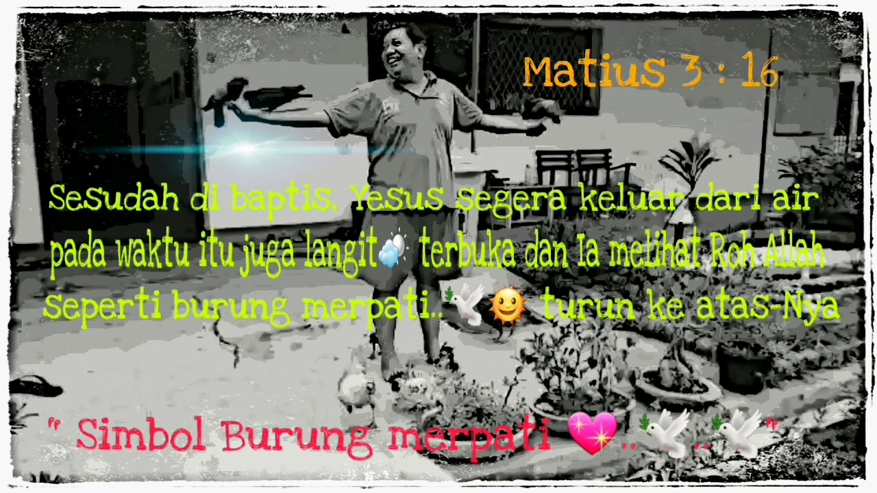 KASIH-Simbol Burung merpati 🕊sleko.berdoa #vlogrohani #lagugereja  #lagurohani