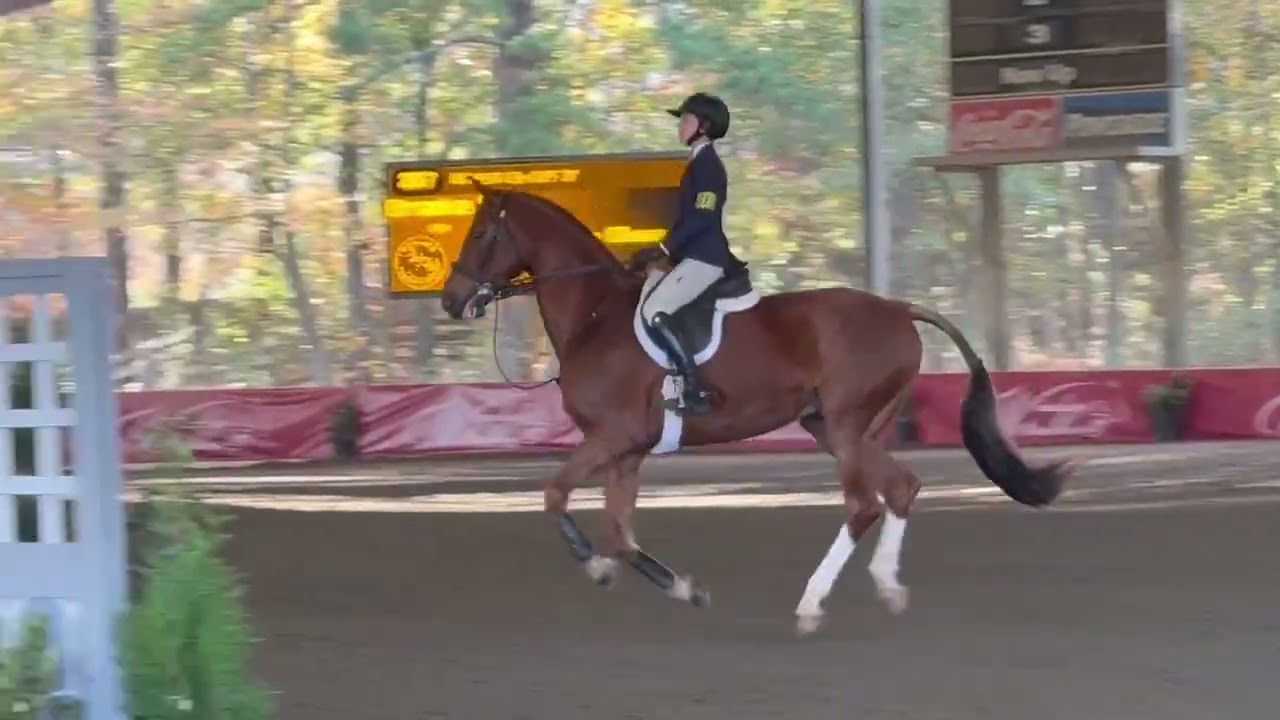 Winning 15-17 Equitation O/F out of 20+ at GHJA Finals 2025