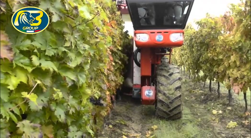 Vendemmiatrice Semovente V-Track Bargam