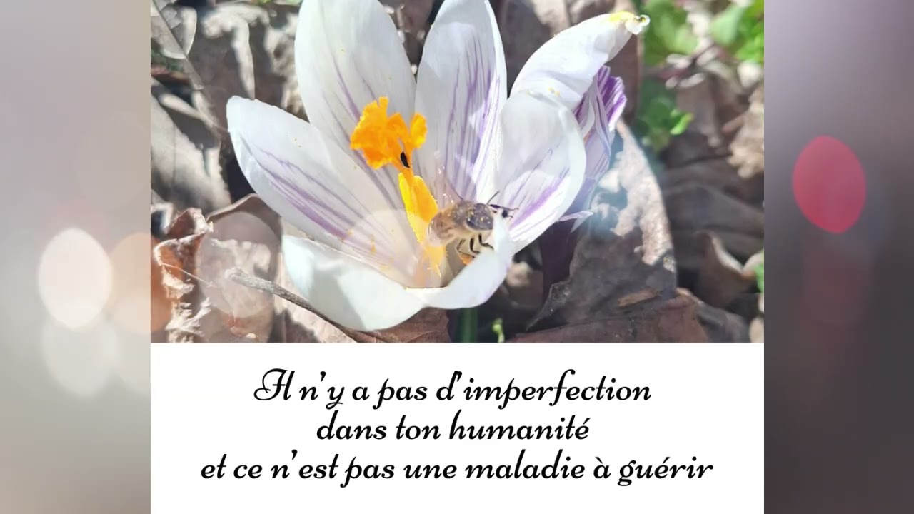 25 - Ton humanité n'est pas une maladie