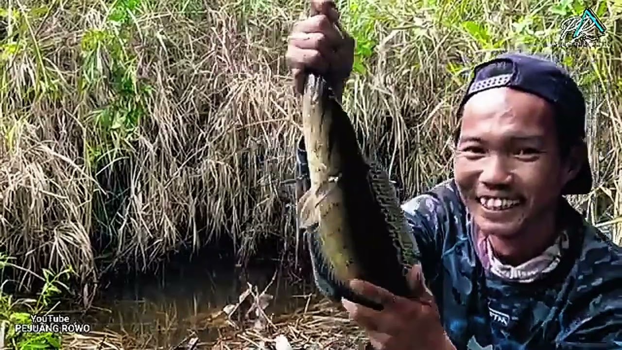 Jiwa mancingku meronta-ronta lihat ikan sebanyak ini