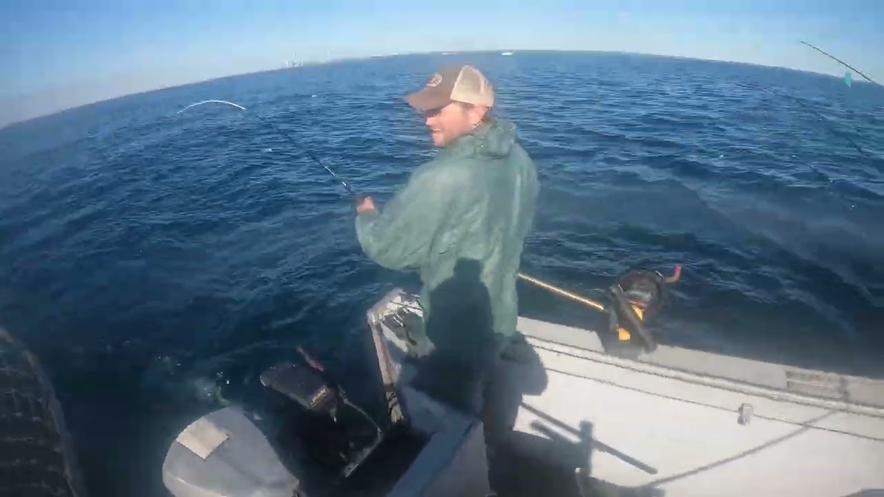Big Lake Trout Caught Trolling on Lake Michigan