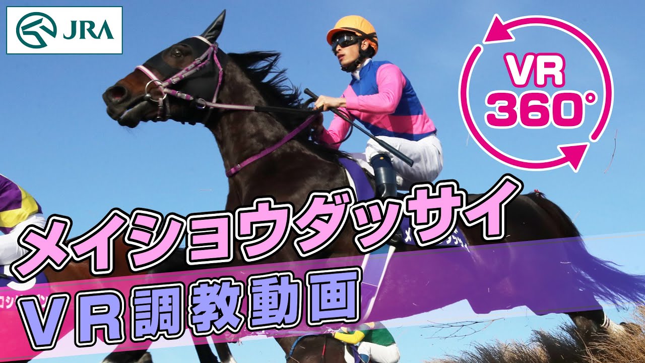 【VR調教動画】メイショウダッサイ 調教動画 | JRA公式