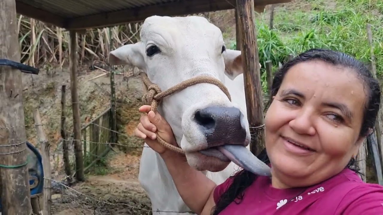 Muita chuva em Alagoas + estamos tendo pobremas sérios com os cachorros na vizinhança +almoço 