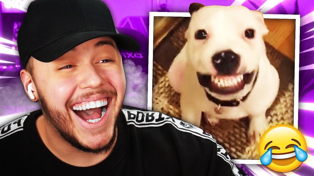 ZKUS SE NESMÁT! (Zvířecí Edice)