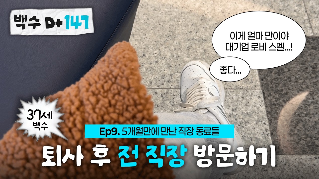 Ep9. 전 직장 방문하기(떨려…) | 상시채용, 헤드헌터 원서 접수 | 집밥 브이로그 | 30대 백수 브이로그 | 30대 취준생 일상