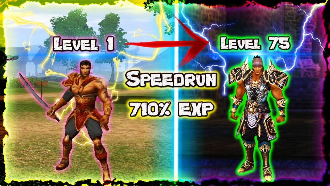 Speedrun Level 1-75 #metin2