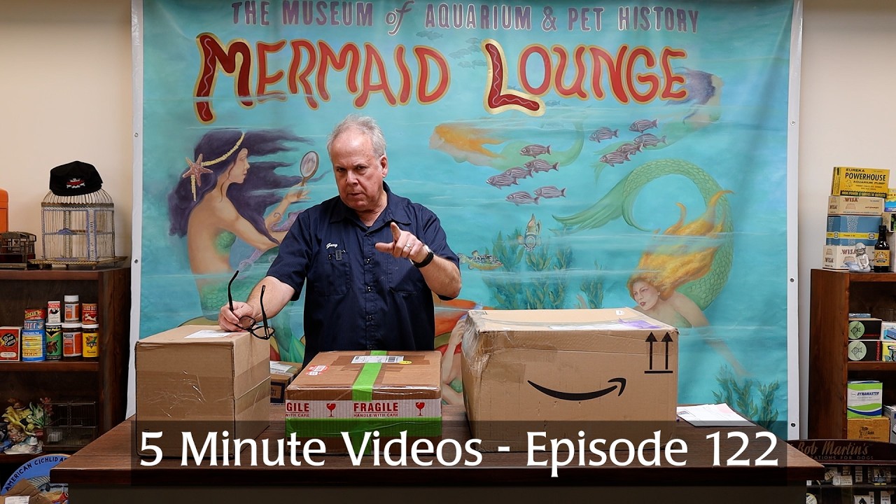 5 Minute Videos - Episode 122