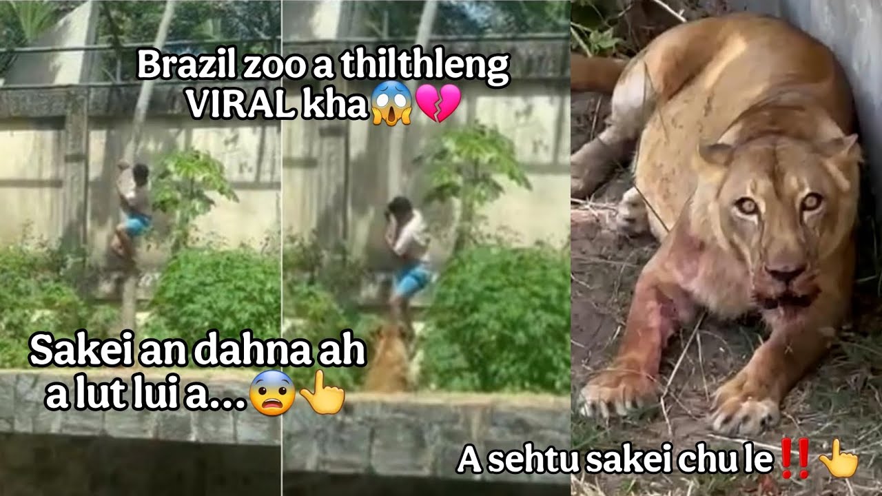 Brazil Zoo a thilthleng VIRAL kha le‼️😱Sakei awmna ah a lut😨