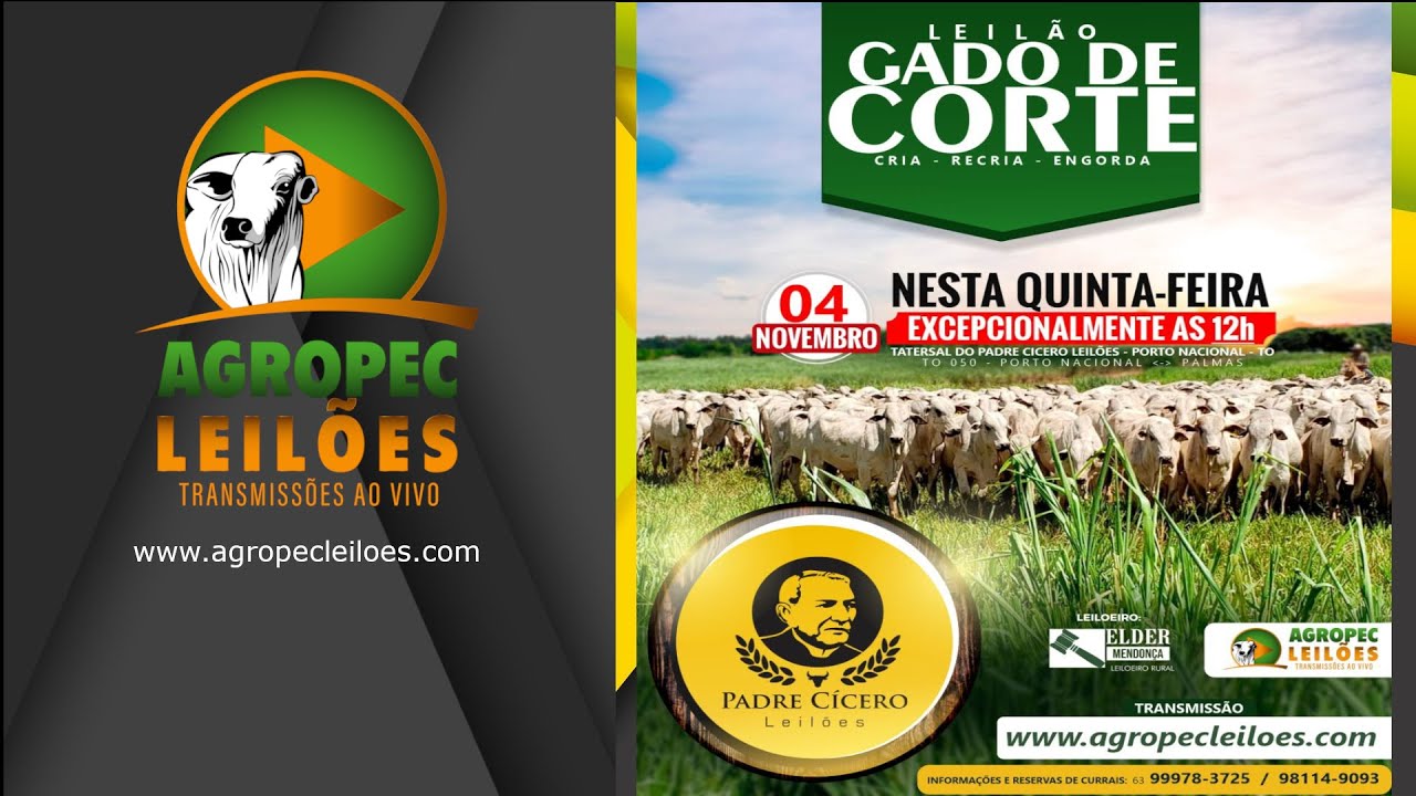 agropecleiloes.com LEILÃO GADO DE CORTE | PADRE CÍCERO LEILÕES - PORTO NACIONAL - TO | 04/11/2021