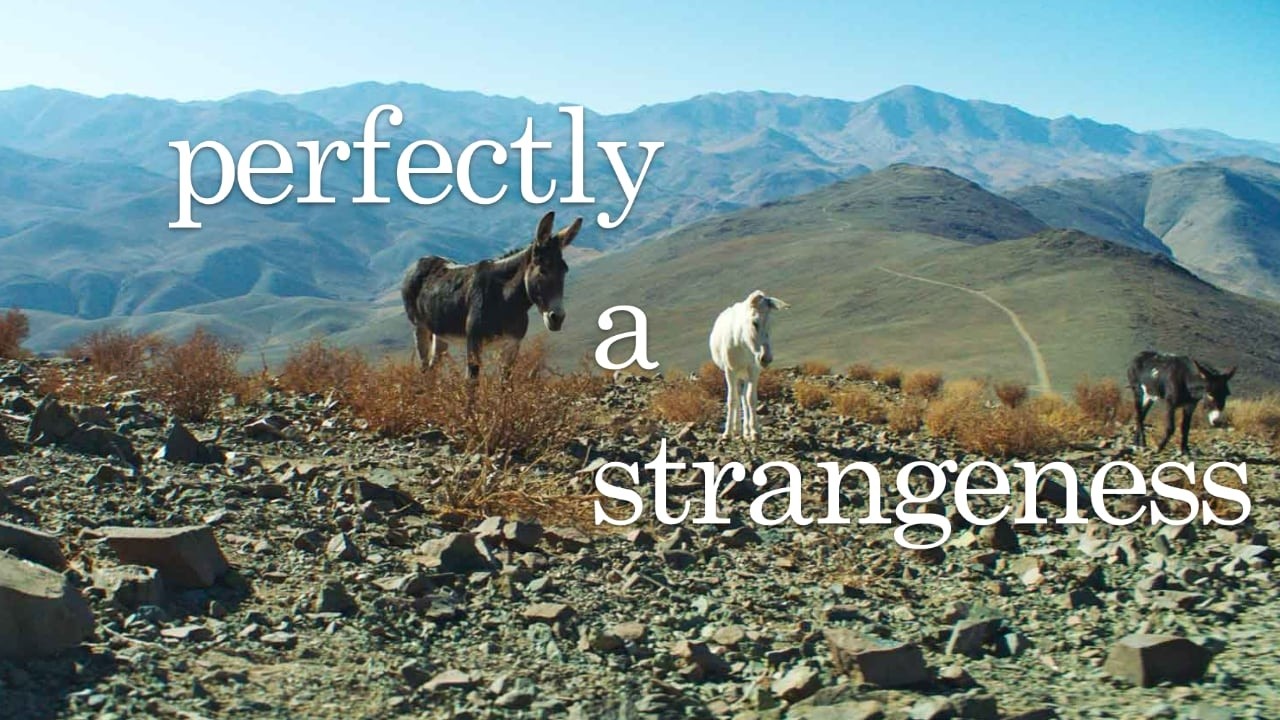 Perfectly A Strangeness // Oscar Nominated Documentary Short // Official Trailer