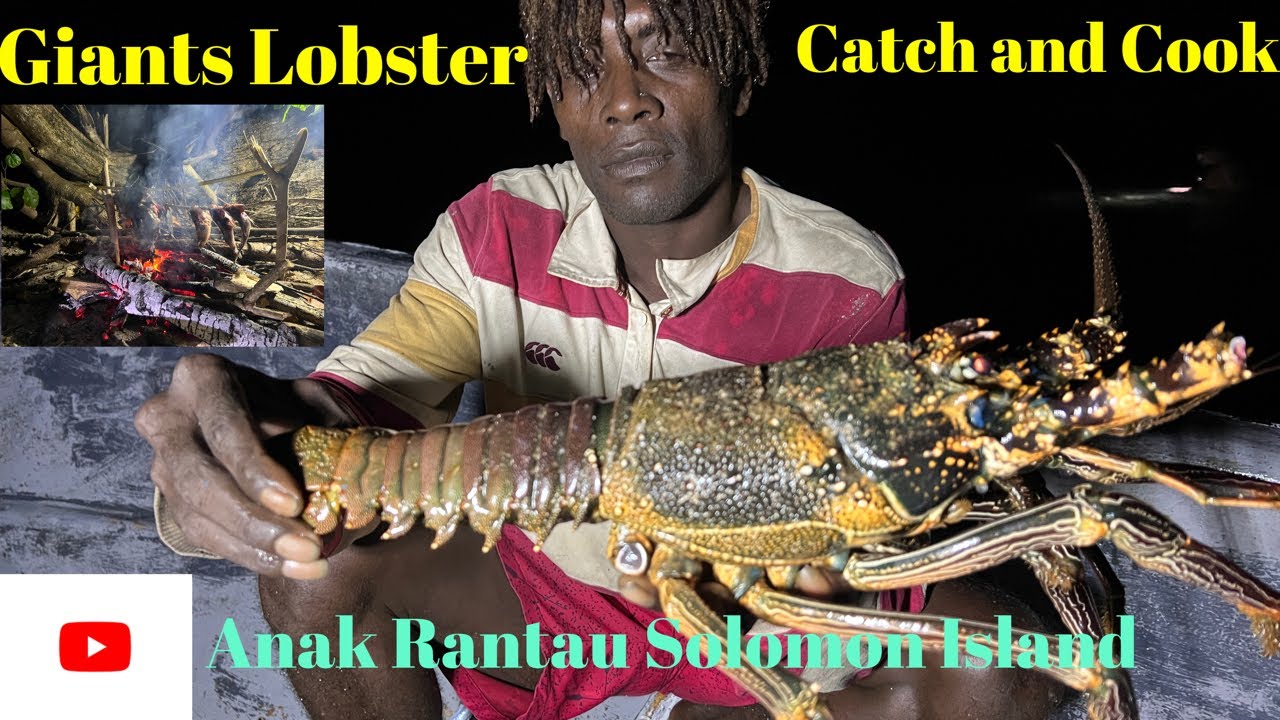 Angin dan Ombak Kuat Tidak Menghalang Aktiviti Kami//Menyelam Malam//Dapat macam2 Jenis Ikan&Lobster