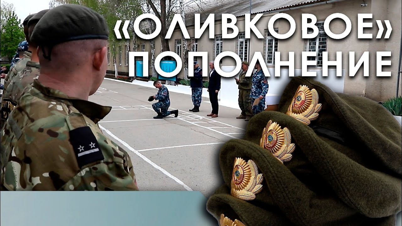 «Оливковое» пополнение