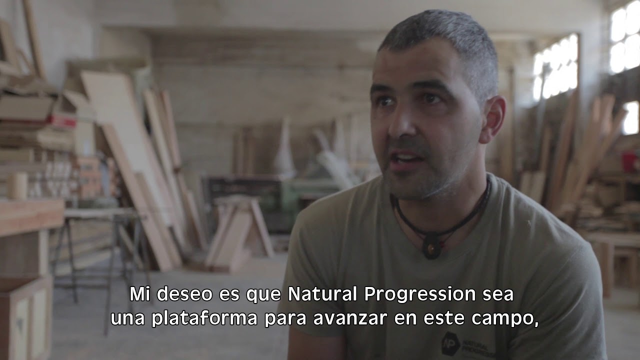 Natural Progression (presas de escalada de madera)
