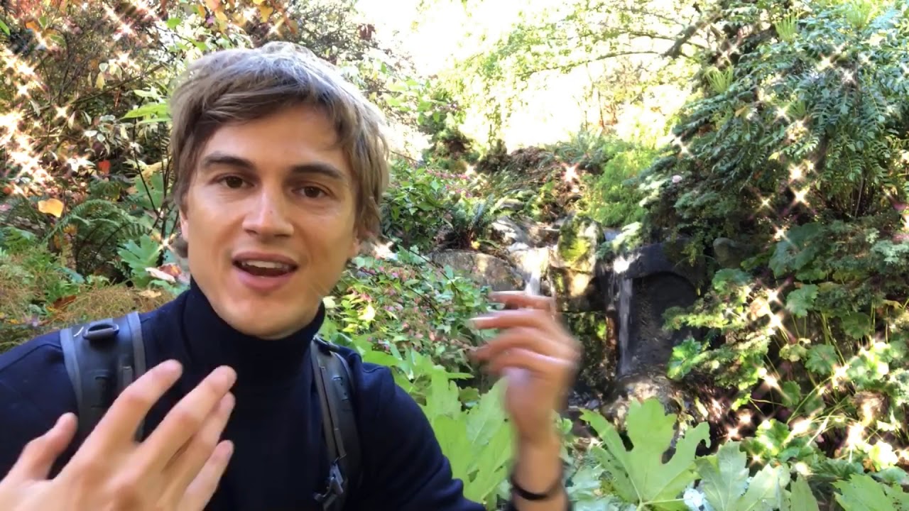 Running Water in the Garden: A Divine Feature