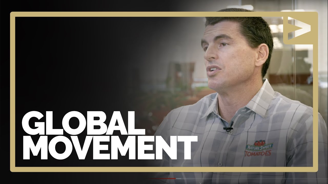 Session 8 - Global Movement