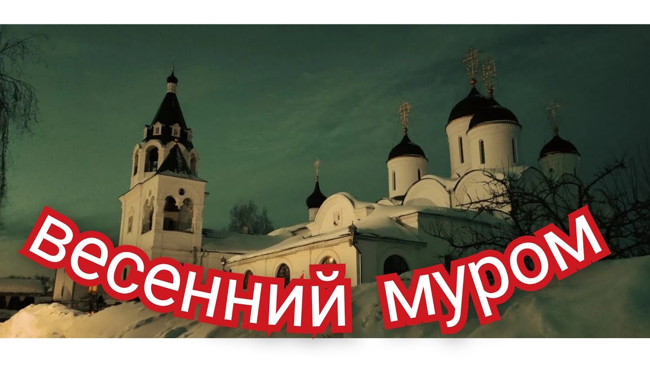 8 Марта путешествие в Муром,а ехали в Арзамас.#муром #весна #дорога 