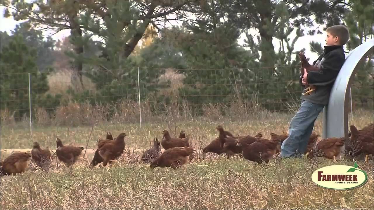 Iraq veteran finds healing in agriculture