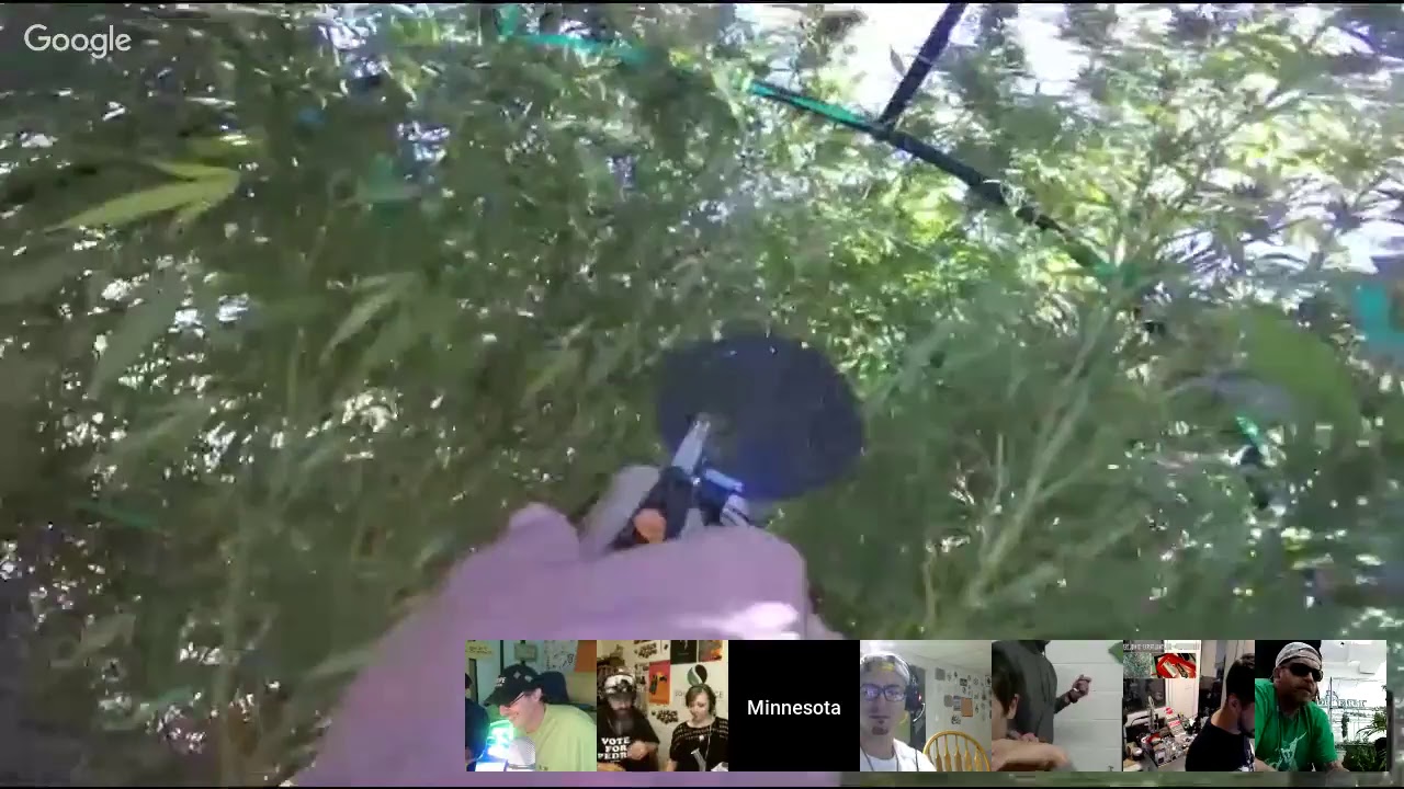 The Weed Nerd Live Show~296