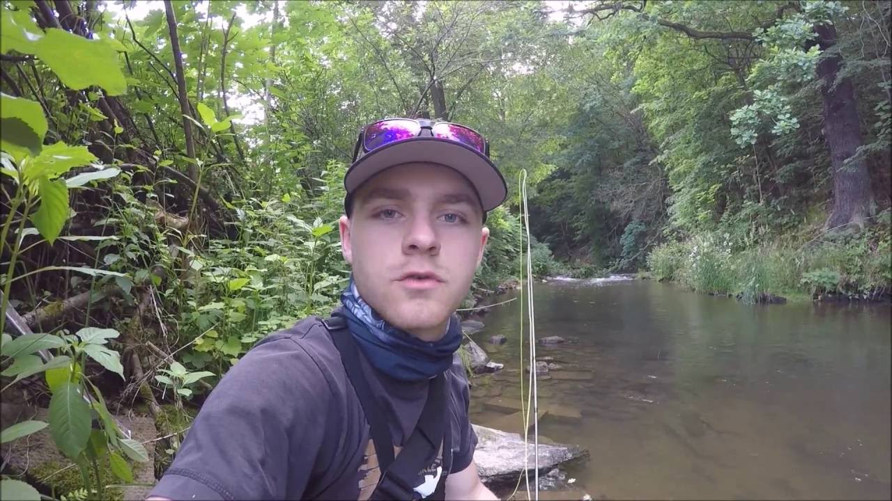 Fliegenfischen am Bach [LIVEBISS]