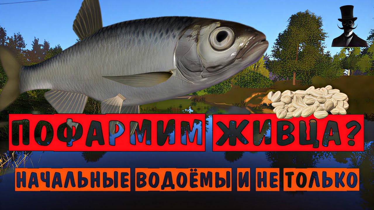 Рыбалка на начальных водоёмах и не только. Пофармим живца. Русская Рыбалка 4.
