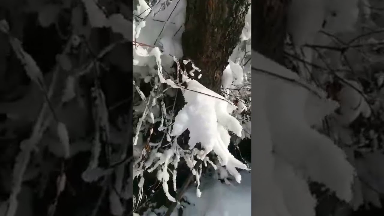 BEST VIDEO OF MURREE SNOWFALL 2022/ AMAZING, NATURAL, BEAUTIFUL VIEW #MURREE